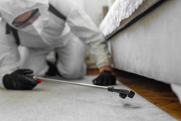 Professional Bed Bug Control technician working in Glencoe, FL