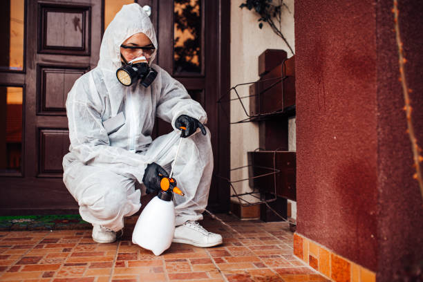 Reliable Bed Bug Control contractor in Glencoe, FL by Nex Pest Control